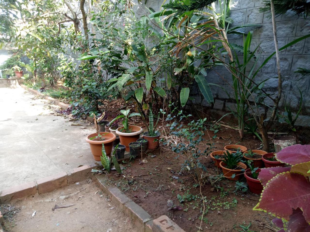 Coorg Villas Madikeri Dış mekan fotoğraf